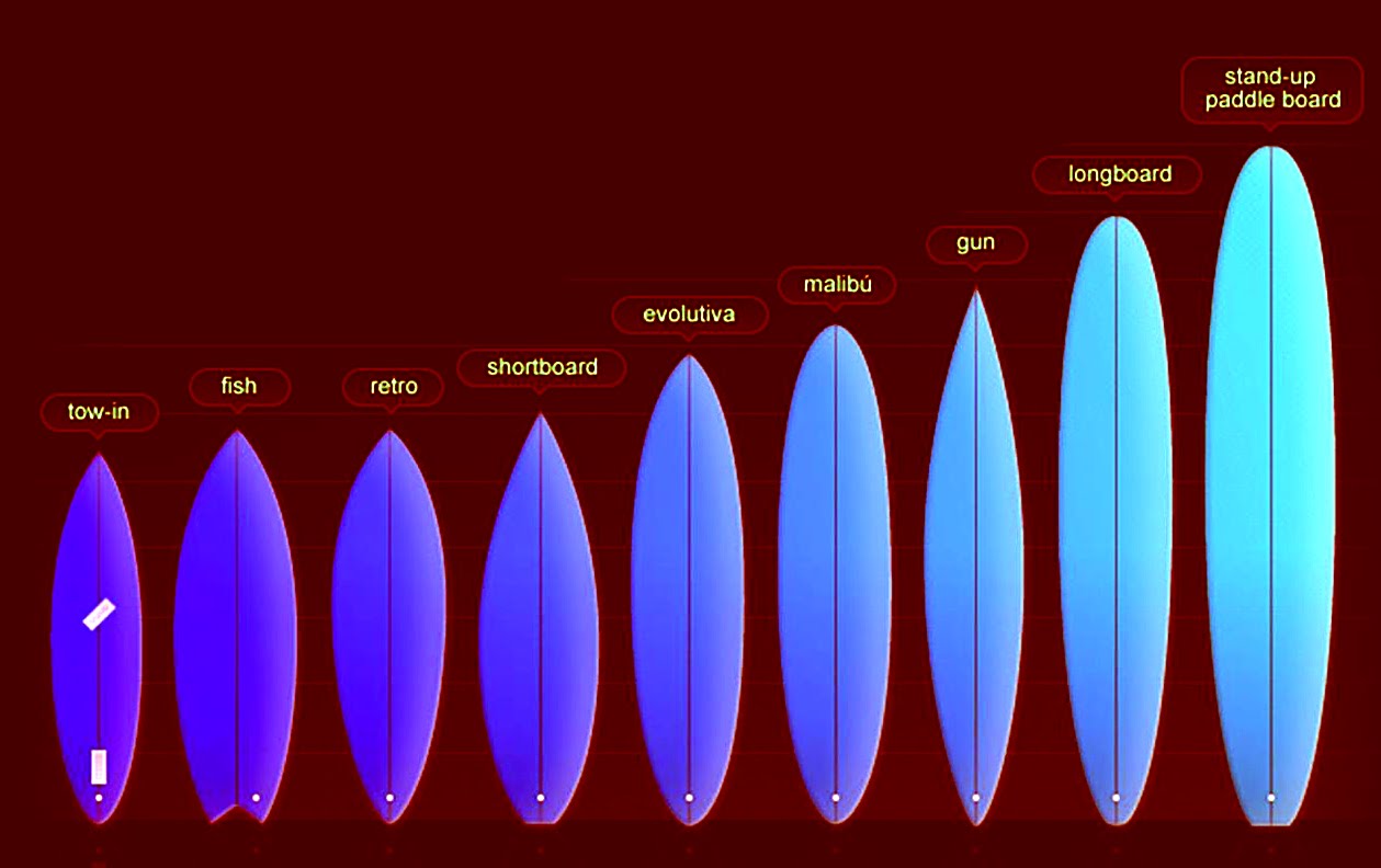 TIPOS DE TABLAS DE SURF Escuela de Surf Las Dunas